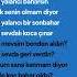 AŞKIN NUR YENGİ YALANCI BAHAR ŞARKI SÖZLERİ Aşkınnuryengi Yalancıbahar şarkı şarkısözleri