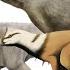Dinosaur Vocalization Study Pt V 2023 Triassic Era