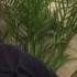 Александр Иншаков о коррупции ЯтакДУМАЮ Сеня Кайнов Seny Kaynov SENYKAY