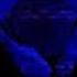 You Can T Run SONICNEON87Y GeotheboxerOfficial SayoSkyy MaimyMayo TheVoicingGuy