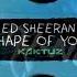 Ed Sheeran Shape Of You DJ KaktuZ Remix