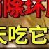 心脏专家刘主任亲身经历 不吃药每天多吃2克它 20年的动脉斑块奇迹消失 坏胆固醇全部溶解了 养生堂