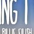 1 HOUR Billie Eilish Everything I Wanted Lyrics