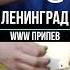 WWW ленинград шнуров сергейшнуров аккорды нагитаре разбор припев шнур гитарадляначинающих