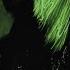 LIL KRYSTALLL DRAKE Unnecessary Highlight