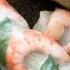 Vietnamese Rice Paper Rolls