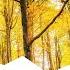 Autumn Leave Tales Of Elevation Extended Remix