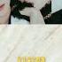 VICTON Into The Mirror 中字