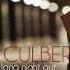 Brian Culbertson Feat Lee Ritenour City Lights