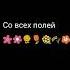 ты не любишь розы окей
