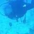 Deafening Military Submarine Active Sonar Ping