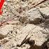 Last Minute Rescue Can Hamid Take Hakimeh S Life Back From Ashraf
