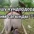мына сага пай пай Music Beats Slowedandreverb Halloween Remix Automobile кыргызкызы Rek