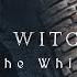 The Witcher Wake The White Wolf