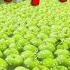 Fruit For Kids With Blippi Apple Fruit Factory Tour