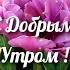 Релакс Поле Красивых Цветов С Добрым Утром Музыкальная Открытка Relax Spring Music Shorts