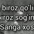 Dj Green Siqilib Ichdim Biroz Lyrics