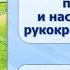Тип Хордовые Тема 46 Многообразие млекопитающих первозвери и настоящие звери рукокрылые и грызуны