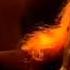 Demis Roussos September I M On My Way Live In Belgium