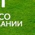 Почему Озил со скандалом покинул сборную Германии