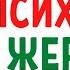 Психопат и Жертва