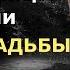 Не дожила до свадьбы 6 дней Дело Винсента Стэнфорда