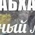 ГОРЫ АБХАЗИИ Ущелье Каменный мешок или Юпшарский каньон Путешествия по Абхазии