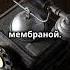 САМЫЙ ПЕРВЫЙ ТЕЛЕФОН В МИРЕ