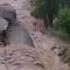 No Way Through Bridge In Mpika Washed Away