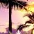 Matvey Emerson Alex Hook Ft Rene Paradise Original Mix