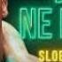 SLOBA RADANOVIC JA SE NE BRINEM Lyric Tekst