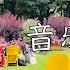 彬彬有院 行 836多伦多周边好玩的 市中心音乐花园 夏天去的多伦多音乐花园 一直没时间整理出来 冬天了 看看过去拍的视频 竟然有一丝温暖 放在这里 做个纪念 具体信息请看视频下方文字介绍