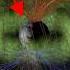 Mysterious Strong Link Between Earth S Magnetosphere And Oxygen Levels