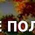 ACADEMIA Алексей Хохлов Умные полимеры 2 лекция Канал Культура