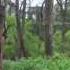 Массандровский парк в Крыму Parks Of The Crimea