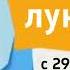 анонс лунтик лето 2015 синий зонтик
