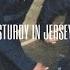 STURDY IN JERESEY