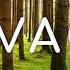 The Whole Other Ether Oar No Copyright Music
