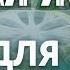 Что значит дом для человека