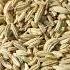 Saunf Fennel Seeds Benefits Boost Digestion Cleanse Body And Freshen Breath Naturally
