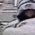В Подмосковье задержали ховринского маньяка напавшего на двух девочек