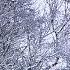 Blizzard Snowstorm Sounds For Relaxing Звуки снежной бури для расслабления