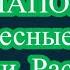 ПЛЕМЯННИЦА ПРОСИЛА ПОБЫСТРЕЕ Интересные истории из жизни Рассказы о любви Теща Сладкая
