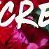 Regard RAYE Secrets Lyrics