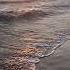 Second Waltz Andre Rieu Beautiful Classic Music Viral Music Beach