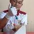 Fivian GHC Proses Tindakan Anestesi Free Needle Injector Pada Metode Sunat Modern Supering
