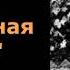А П Чехов Страшная ночь