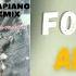 Brenda Fassie Too Late For Mama Amapiano Remix
