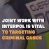What Role Does INTERPOL Play In Tackling Global Crime