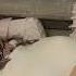 5 Minutes Snore Asmr Sleep Stream Beautiful Girl Sleeping Sleepstreamgirl Shorts Snoring
